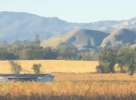 SONOMA COUNTY