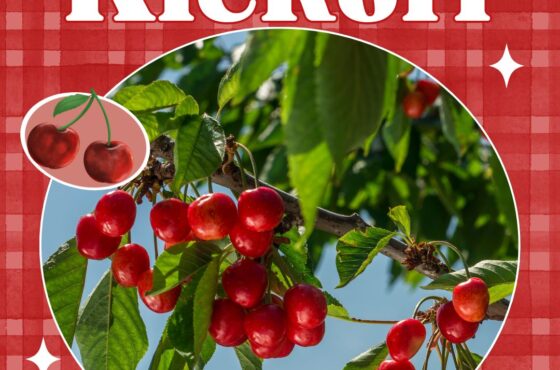 June Kickoff: Cherry-Pick Your Perfect East Bay Weekend! 🍓