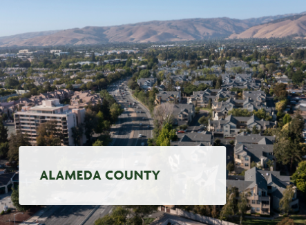 Alameda County Real Estate & Homes