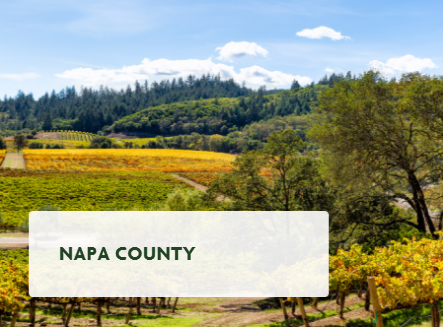 Napa County Real Estate & Homes