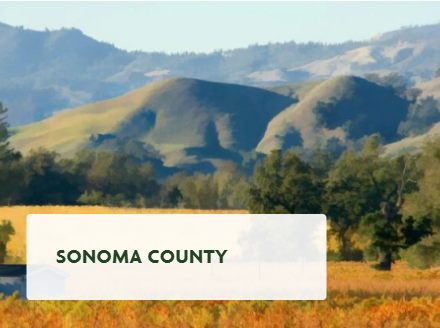 Sonoma County Real Estate & Homes