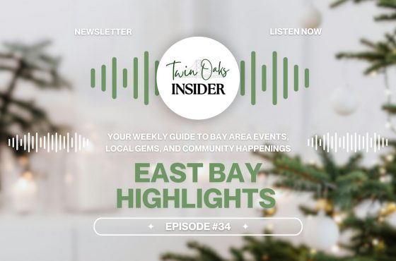 ✨ Local Events to Start Your Holiday Countdown🎄❄️