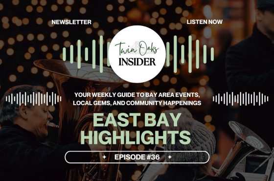 🌟 Winter Wonders: Your East Bay Guide